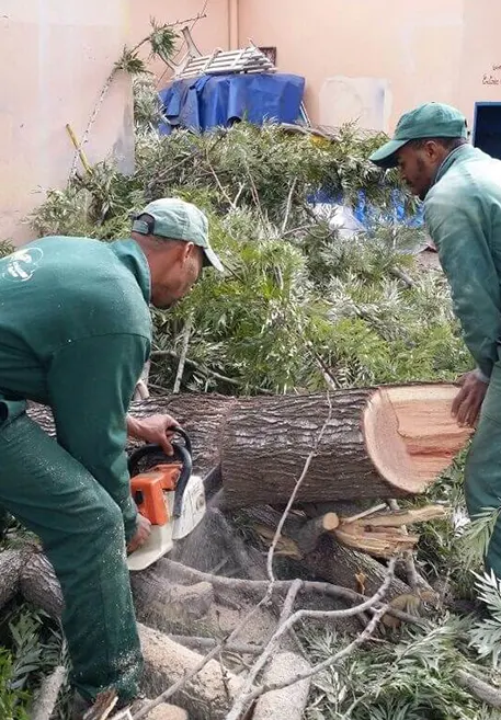 société de jardinage à Rabat | Hassan Vert