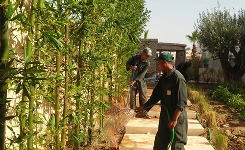 Société d'entretien des jardins à Rabat