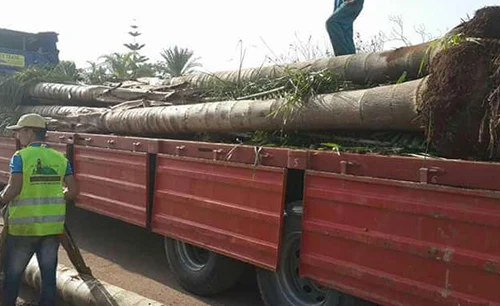 Société de jardinage à Rabat