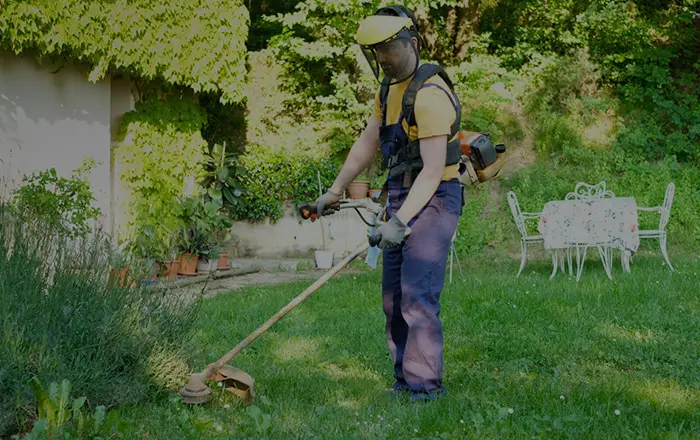 Entretien de pelouse et gazon à Rabat