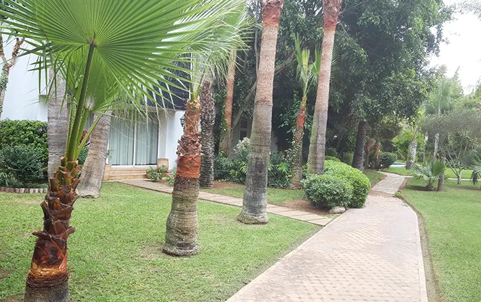 Société de création de jardin à Rabat