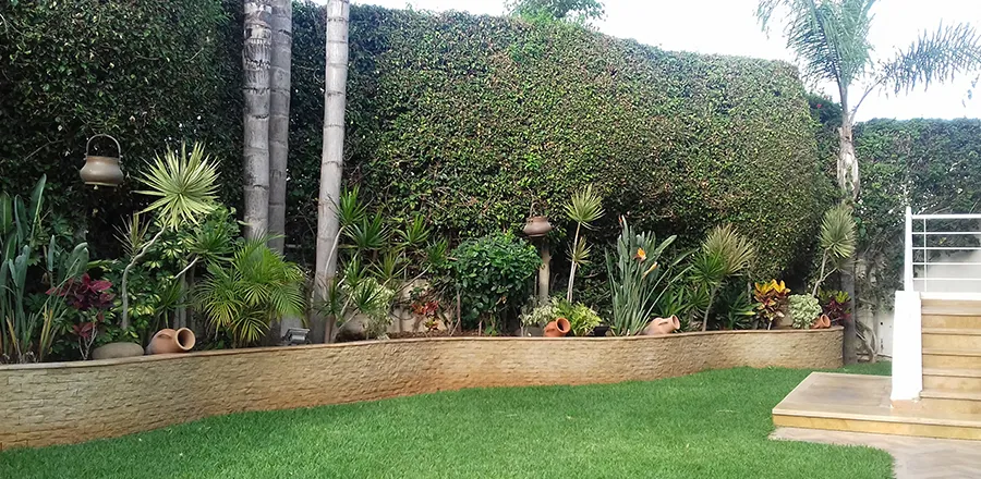 société de création des jardins à Rabat