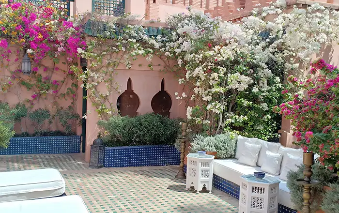 Société d'entretien de jardin à Rabat