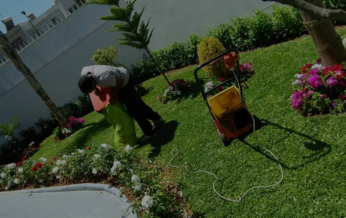 Entretien des jardins à Rabat