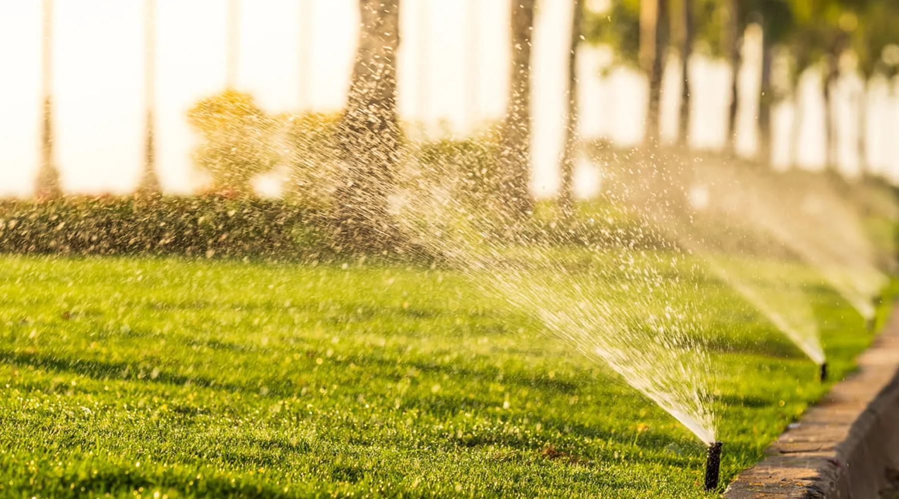 société d'arrosage automatique à Rabat