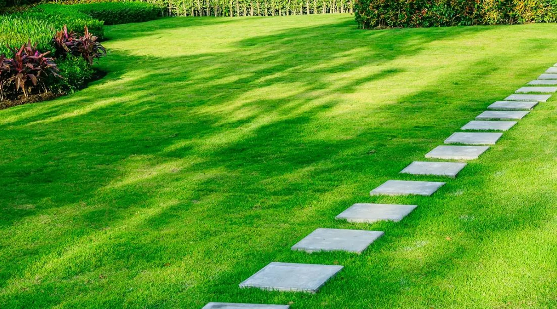 société d'entretien des jardins à Rabat