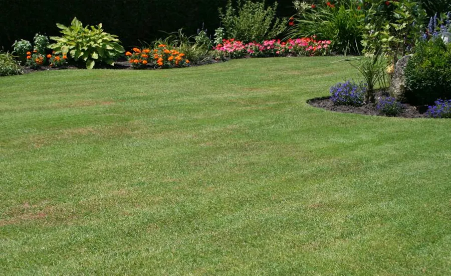 Entretien et tonte de gazon et pelouse à Rabat