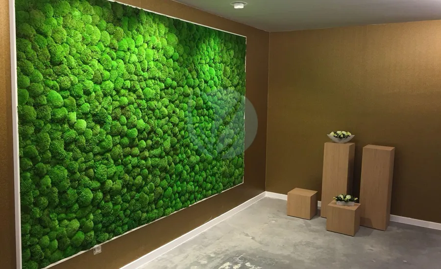 Pose et installation mur végétal à Rabat