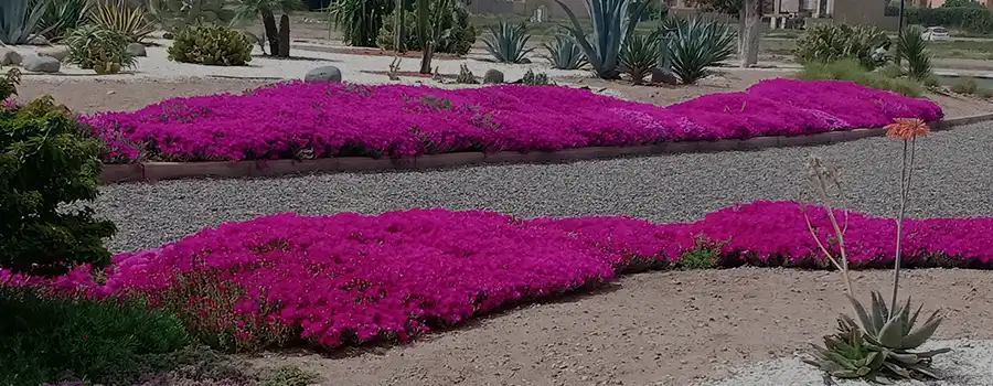 entreprise de rénovation des jardins à Rabat