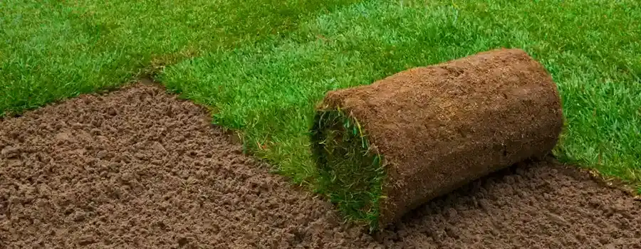 société de pose de gazon naturel à Rabat