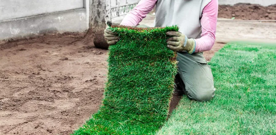 Installation et pose de gazon synthétique à Rabat