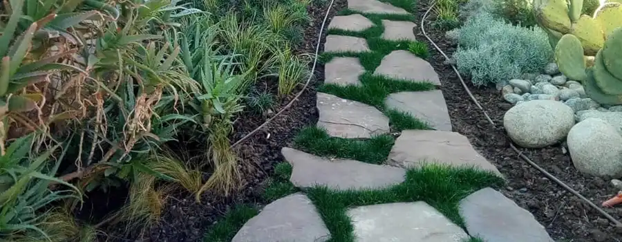 Société d'aménagement des allées à Rabat